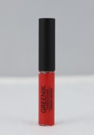 LIPSTICK R19